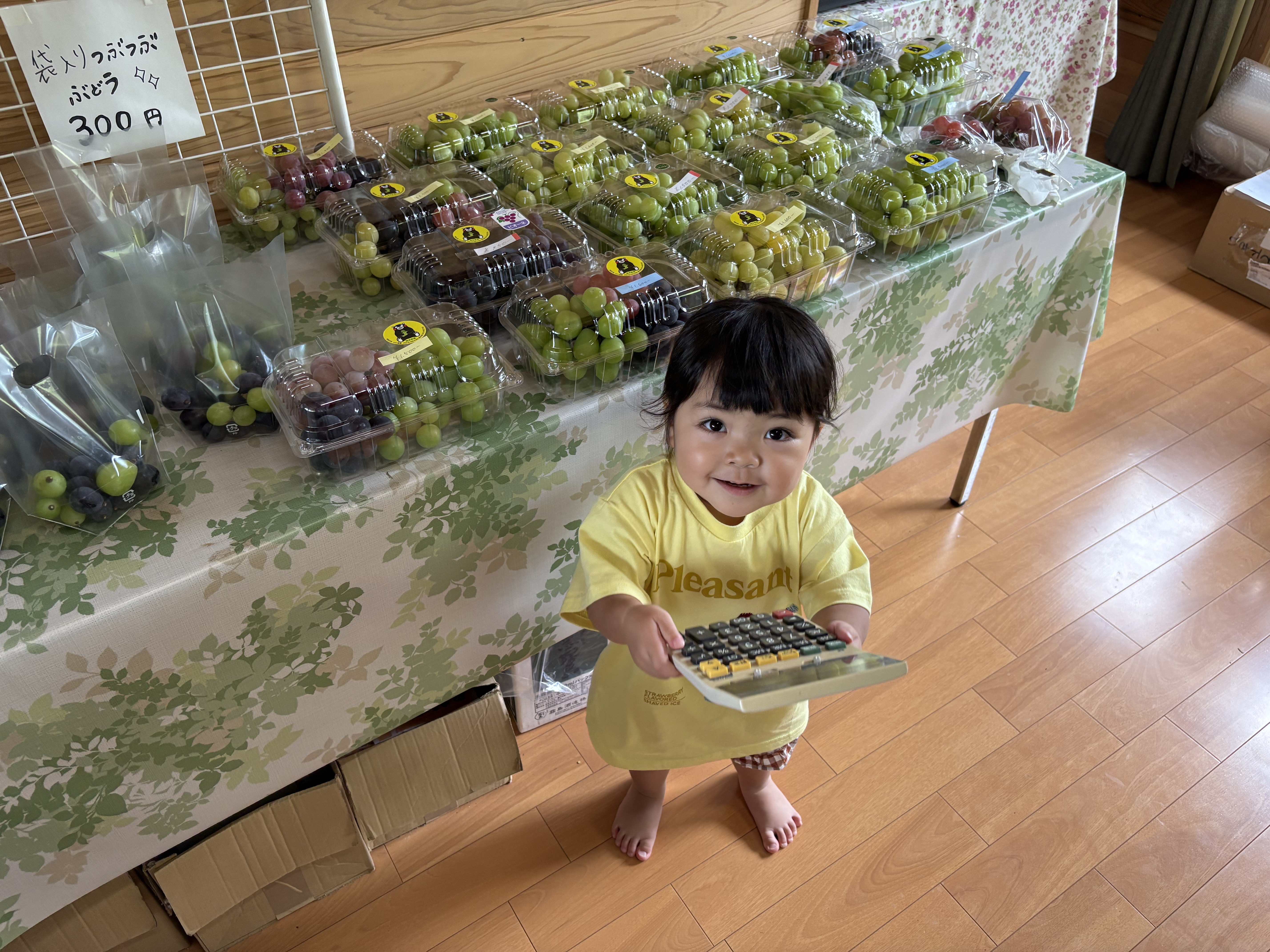 みのり農園｜熊本県津奈木町のぶどう農園・薪工房